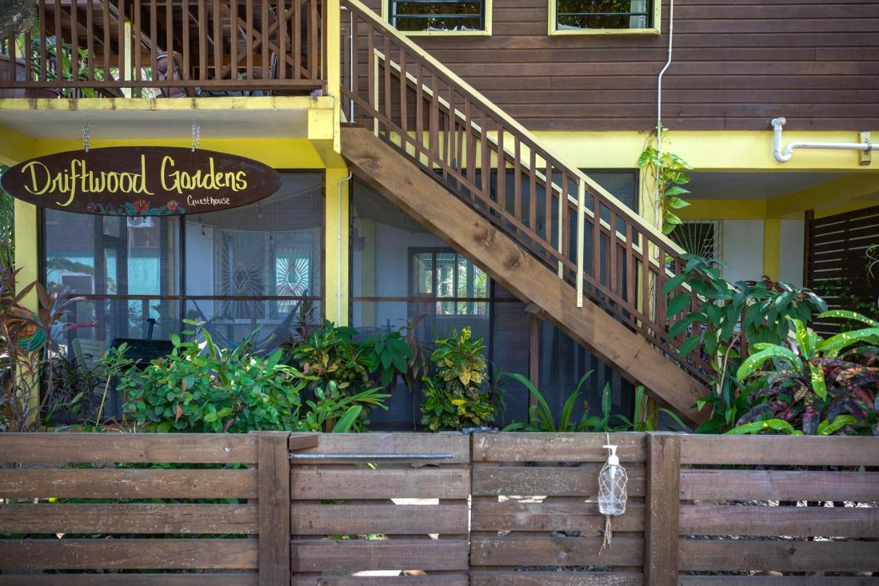 Driftwood Gardens Guesthouse Placencia 外观 照片