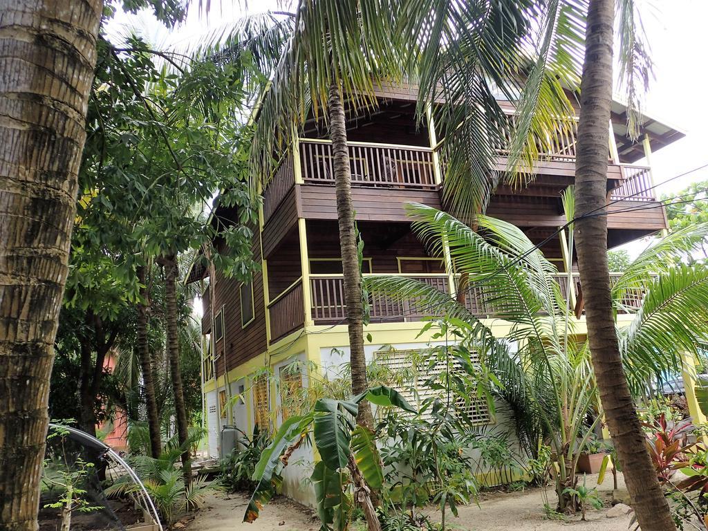 Driftwood Gardens Guesthouse Placencia 外观 照片